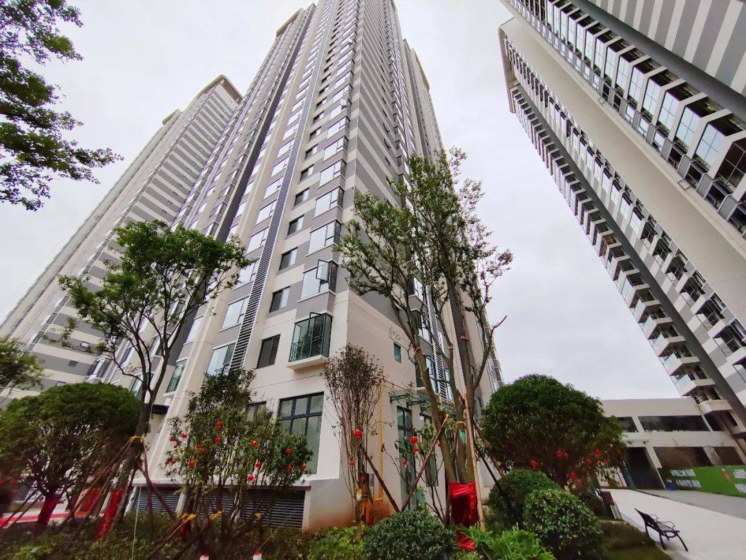 托起群众安居梦:正阳华府回迁安置房顺利交房_业主_大理市_房屋