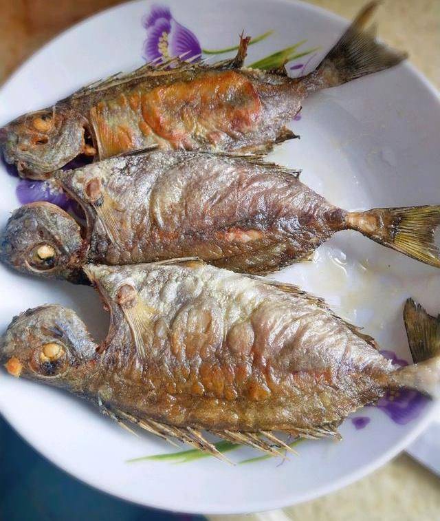 来一碗"乌子婆鱼粥",营养顶级,做法超简单_步骤_时候_鱼肉