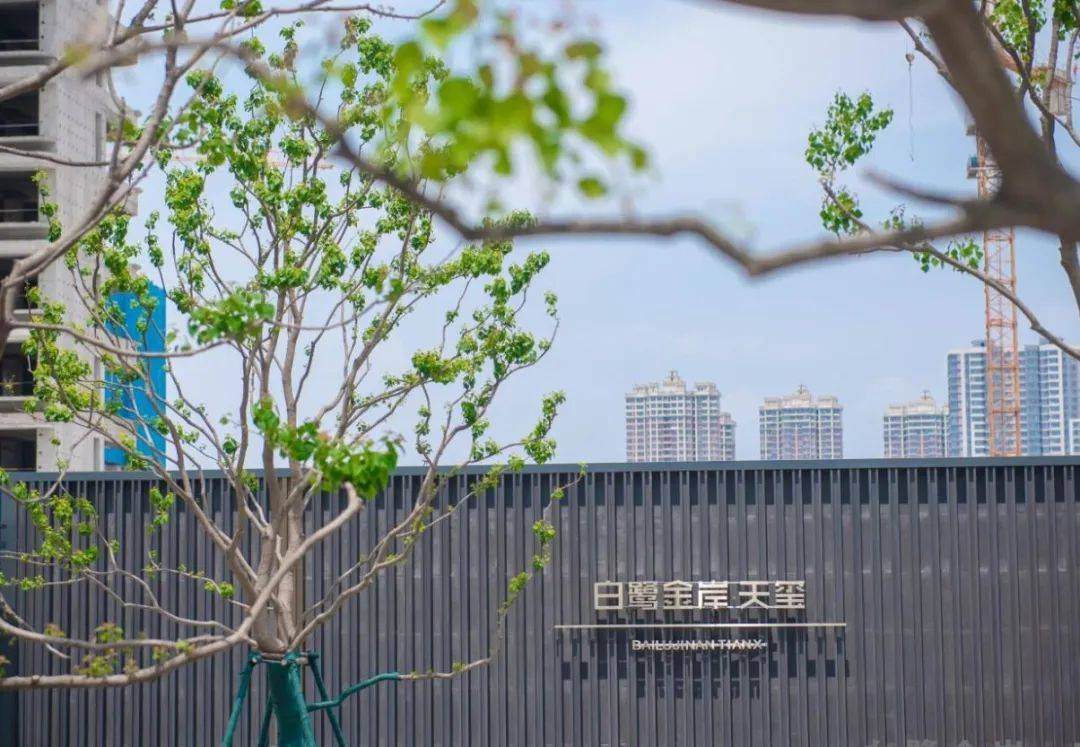 白鹭金岸·天玺|恰到好处的空间雕琢,让温暖融入日常