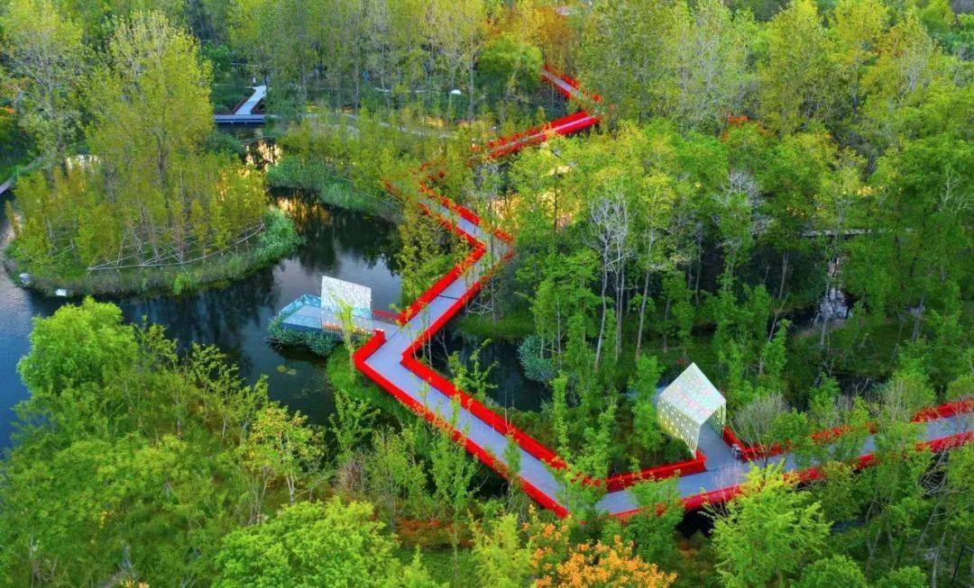 云南建投集团| 空中廊桥耀眼江南水乡!