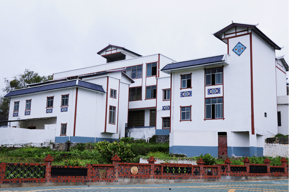 文明新风尚 幸福美丽村——马山县林圩镇"一约四会"催生"文明之花"_村