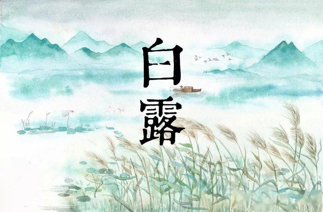 今日白露:清风白露,愿你此生无恙!_节气_宜以_疾病