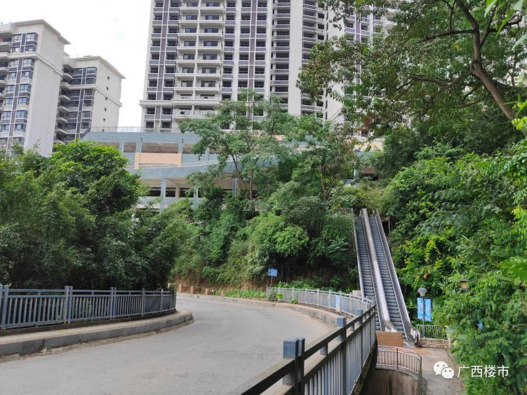 天池山的盘山公路被称为"新手司机的噩梦",这坡度,这大拐弯,不练个