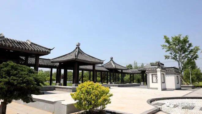 美丽乡村|沭阳县新河镇双荡村_古栗林_盆景_山荡