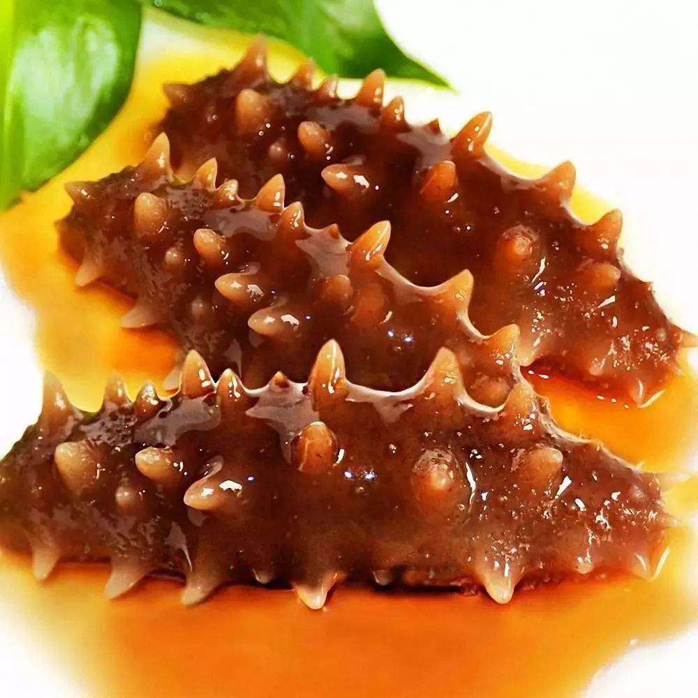 附多种海参做法!_原料_大米_滋补品