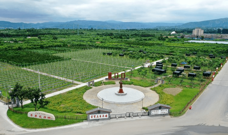 灵宝市焦村镇:精准帮扶巩固脱贫成果 五大振兴绘就幸福蓝图_工作_监测