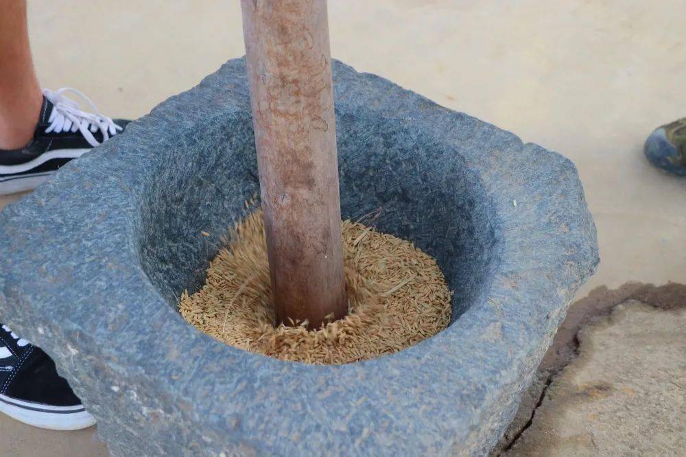 【9月10日-12日】双节庆秋收,草帽涂鸦 收稻谷 脱粒舂米 抓鸡摸鱼 烧