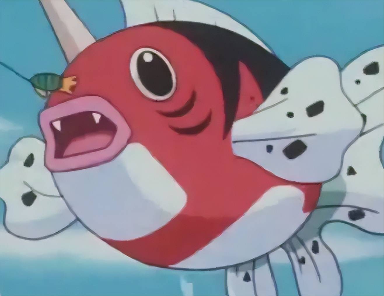 1 金鱼王ps:排名不分前后;本文可能并不具有太大的严谨性,如有错误