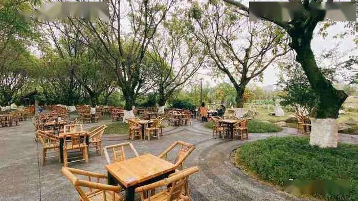 偷得浮生半日闲,树荫底下坝坝茶,巴适得很!_巴蜀_地区_书会