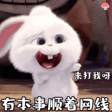 韩国白色兔子表情包图片
