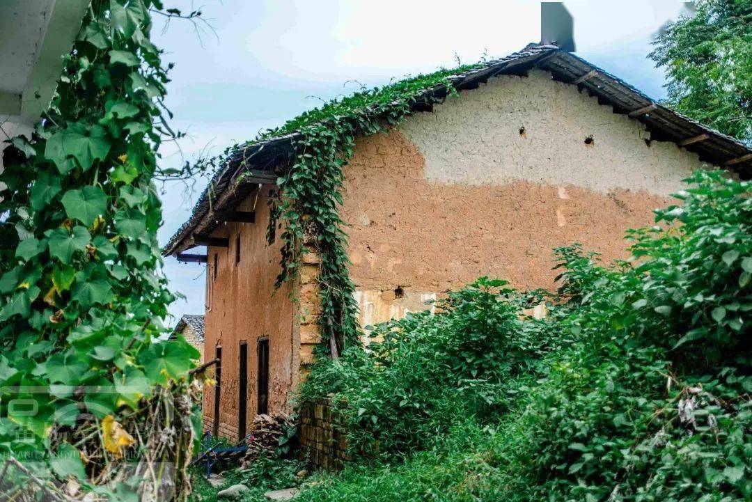 茂名农村旧房翻建,5种情况不允许!_宅基地_房屋_土地管理法