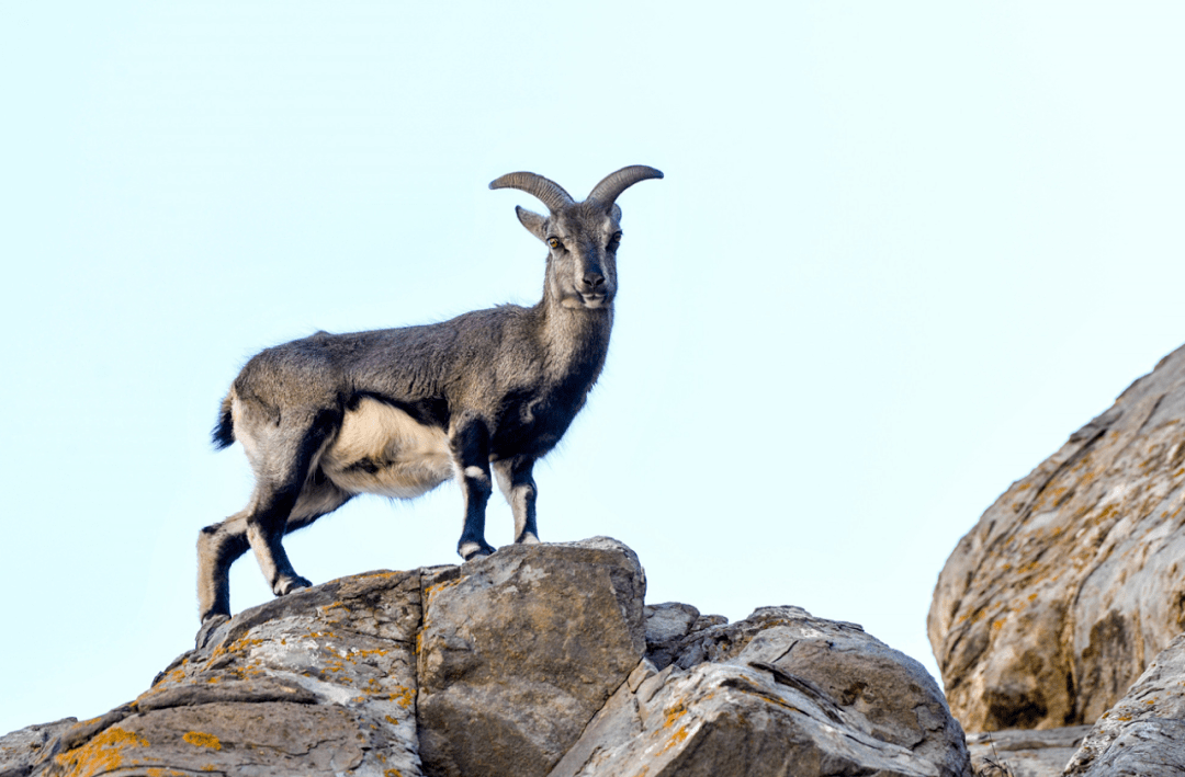6|旅行】宁夏贺兰山国家森林公园科普基地:开启自然科普"奇妙之旅"