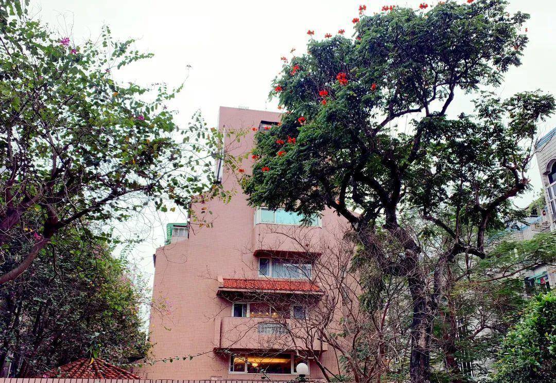 在可园,琼瑶展开了写作生涯的后半段.