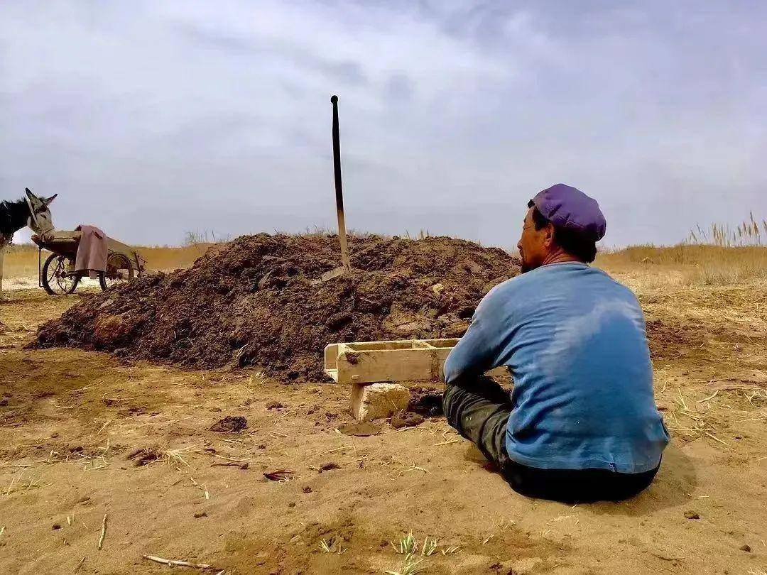 或许正是亲情如此稀缺,他才会像抓住最后一根稻草般眷恋唯一的亲人"