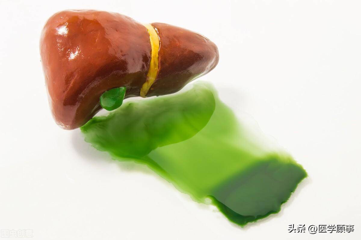 次级胆汁酸都有哪些?_acids_胆酸_bile