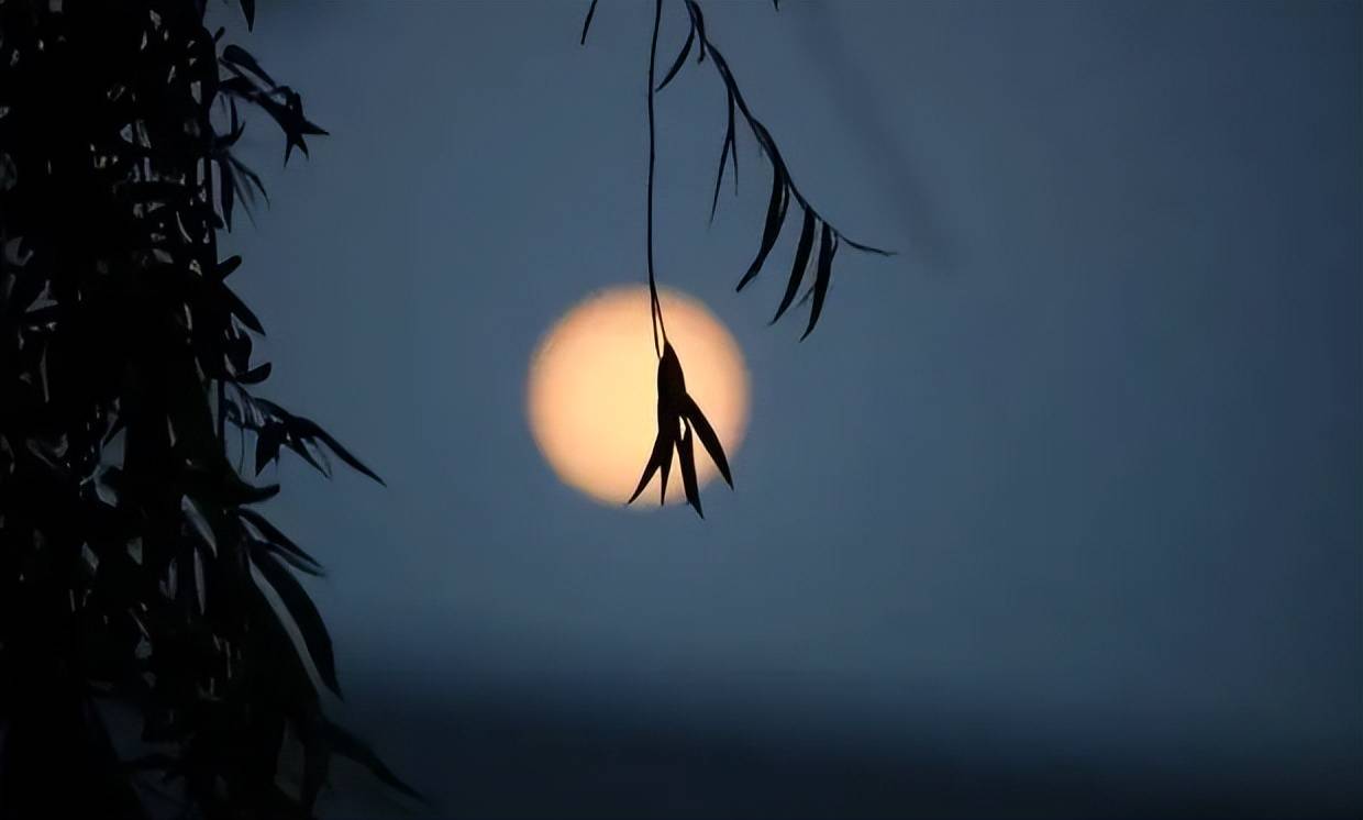 夜落闻声来 来自搜狐网