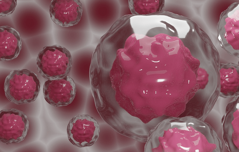 干细胞美容功效,应用和前景_研究_疾病基因_治疗