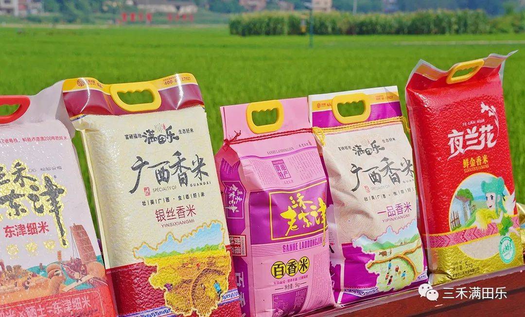 全区秋季作物重大病虫防控现场会在贵港市三禾米业生态富硒水稻基地