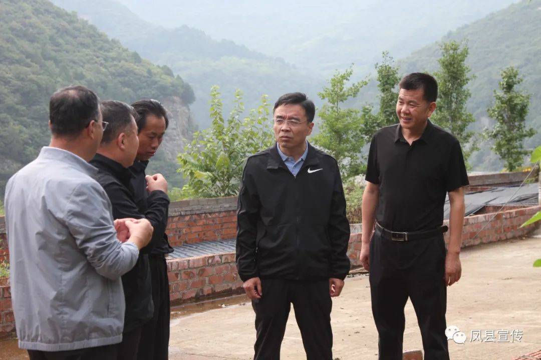 宝鸡凤县:张扬调研工业企业技改和林麝产业发展_技改_林麝_和林