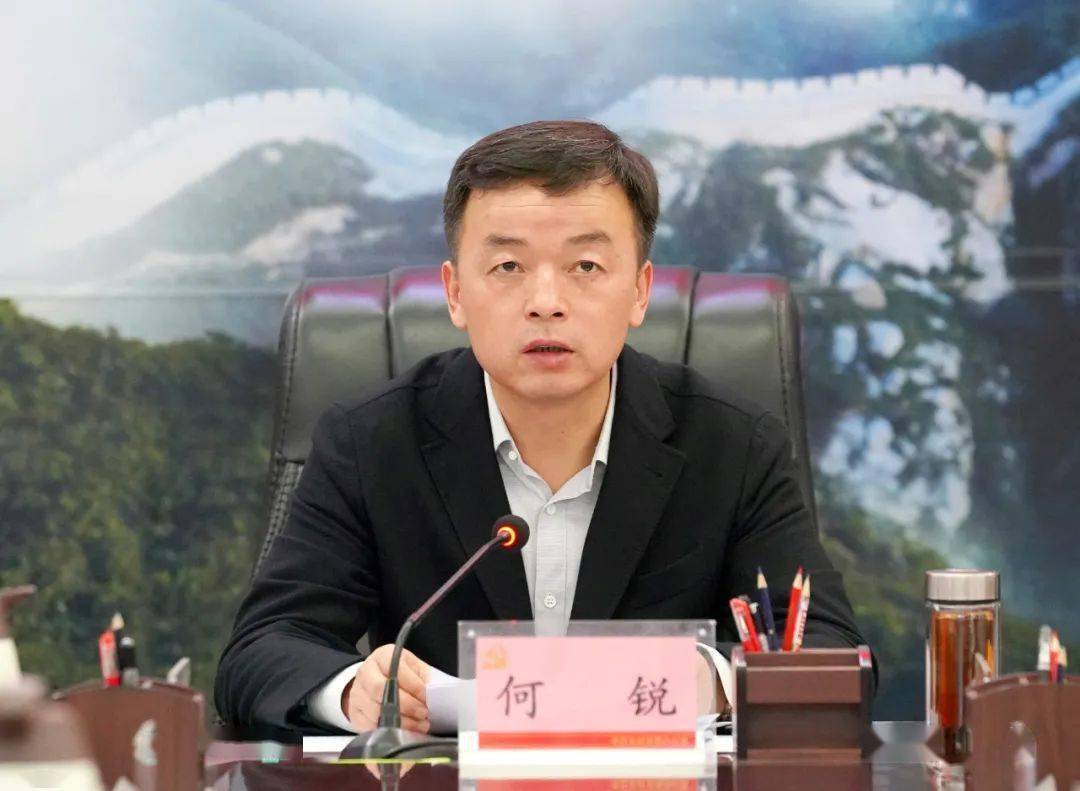 【权威发布】何锐主持召开县委审计委员会2022年第二次会议_长武_监督