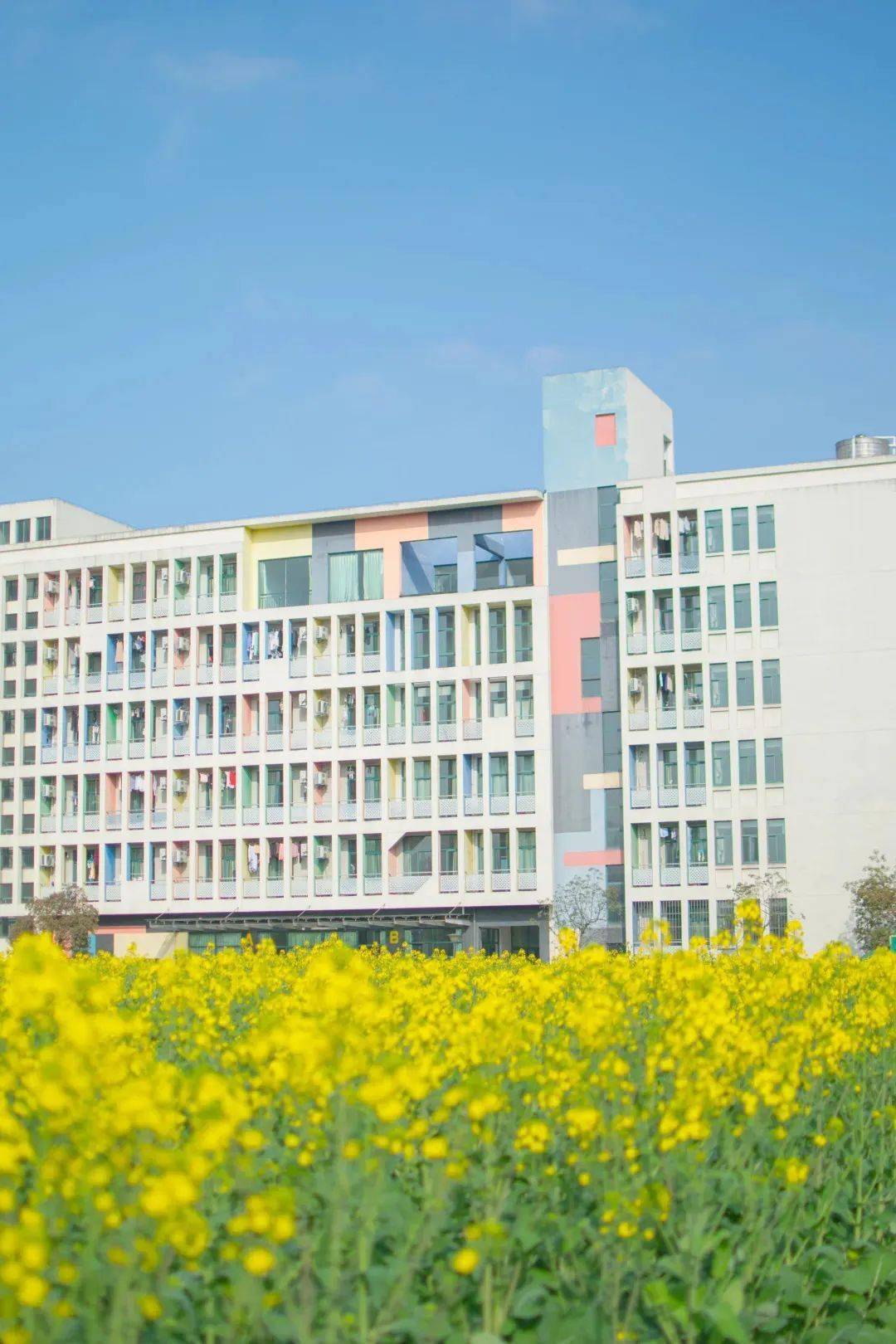 浙江传媒学院2023届毕业生校园招聘活动服务指南_就业_入校_com