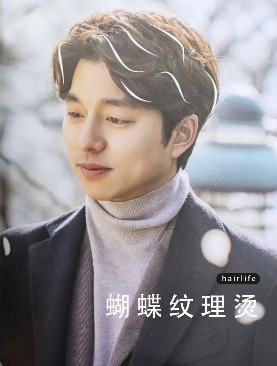 男生们都来get纹理蝴蝶烫_发型_鬼怪_人家