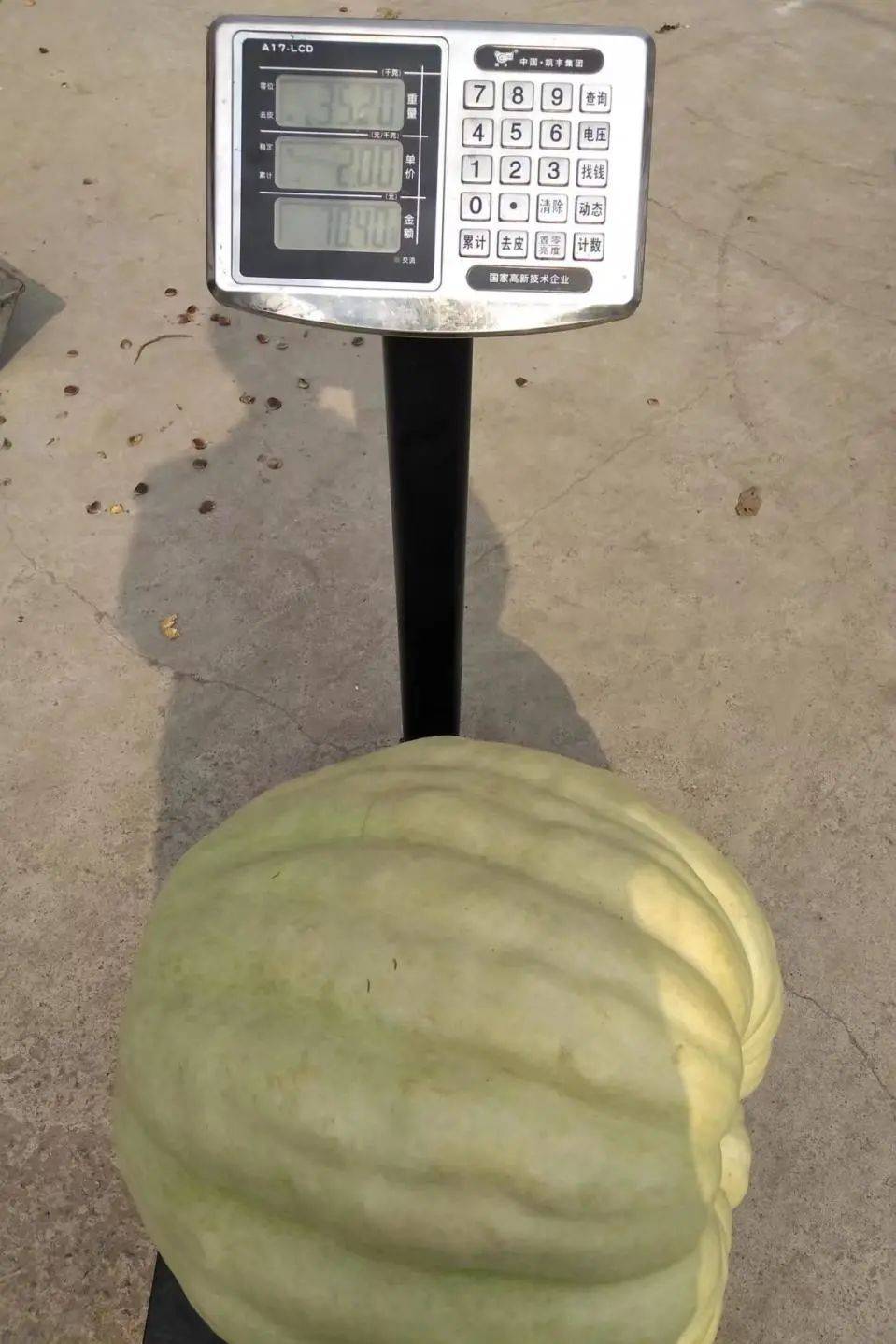 车女士_种植_驱虫