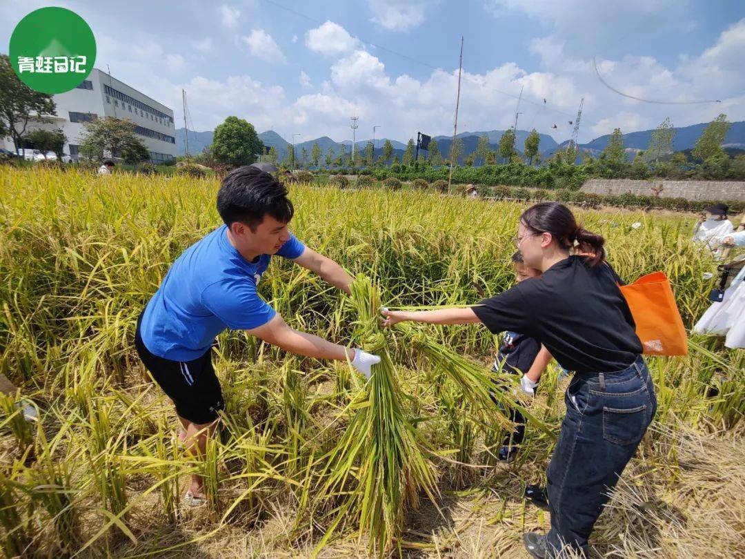 萧山这群小农夫厉害了!