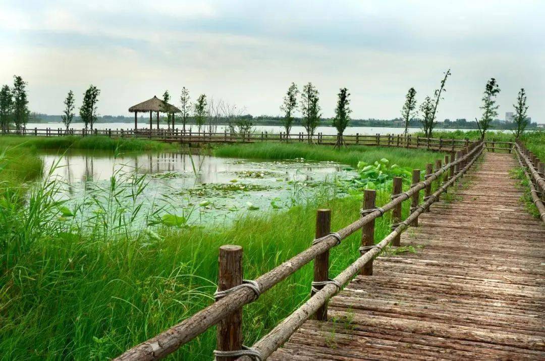 部长点赞，徐州潘安湖美丽蜕变_湿地景观_景区_采煤