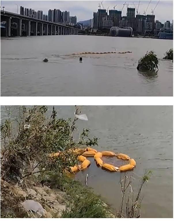 韩国汉江"水怪"真身曝光 真相却让人哭笑不得_民众_怪物_评论