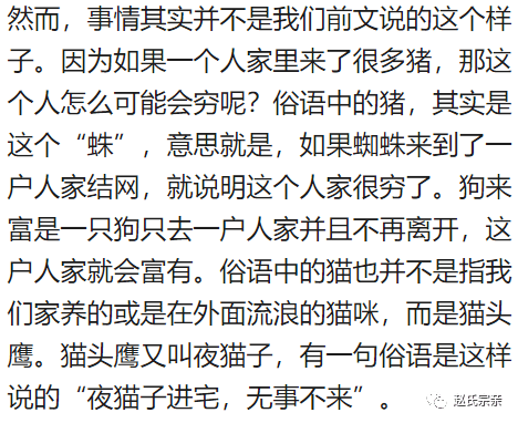 俗语"猪来穷,狗来富,猫来头上顶白布,你知道是啥意思吗?