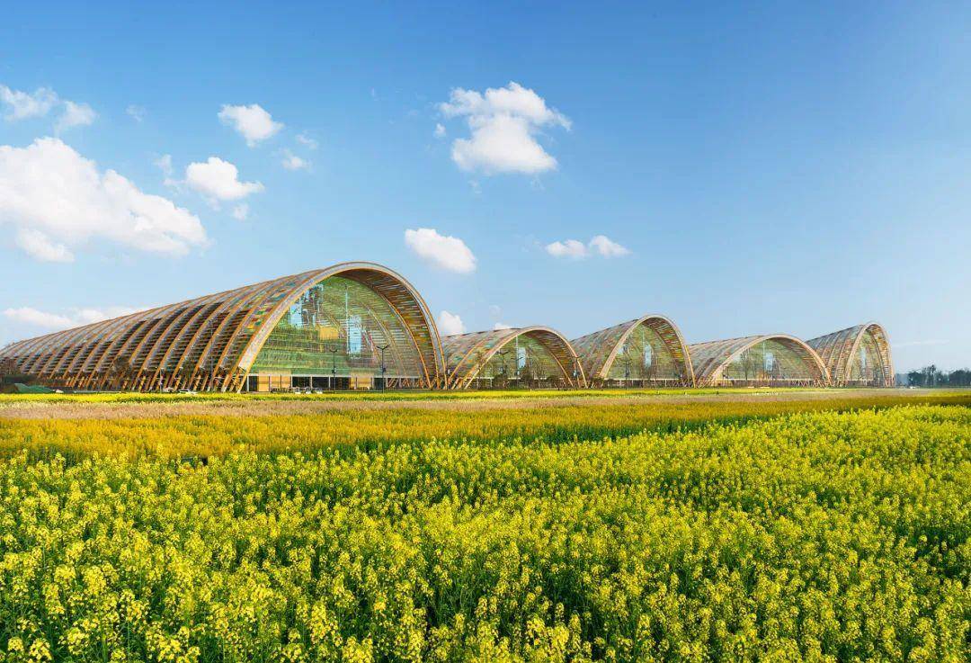 这里是天府农博园,是时候让你了解最全面的我了_产业_乡村_发展