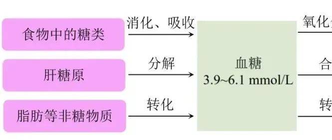 肌糖原不能分解产生葡萄糖吗?能,只是不进入血糖_磷酸_必修_血浆