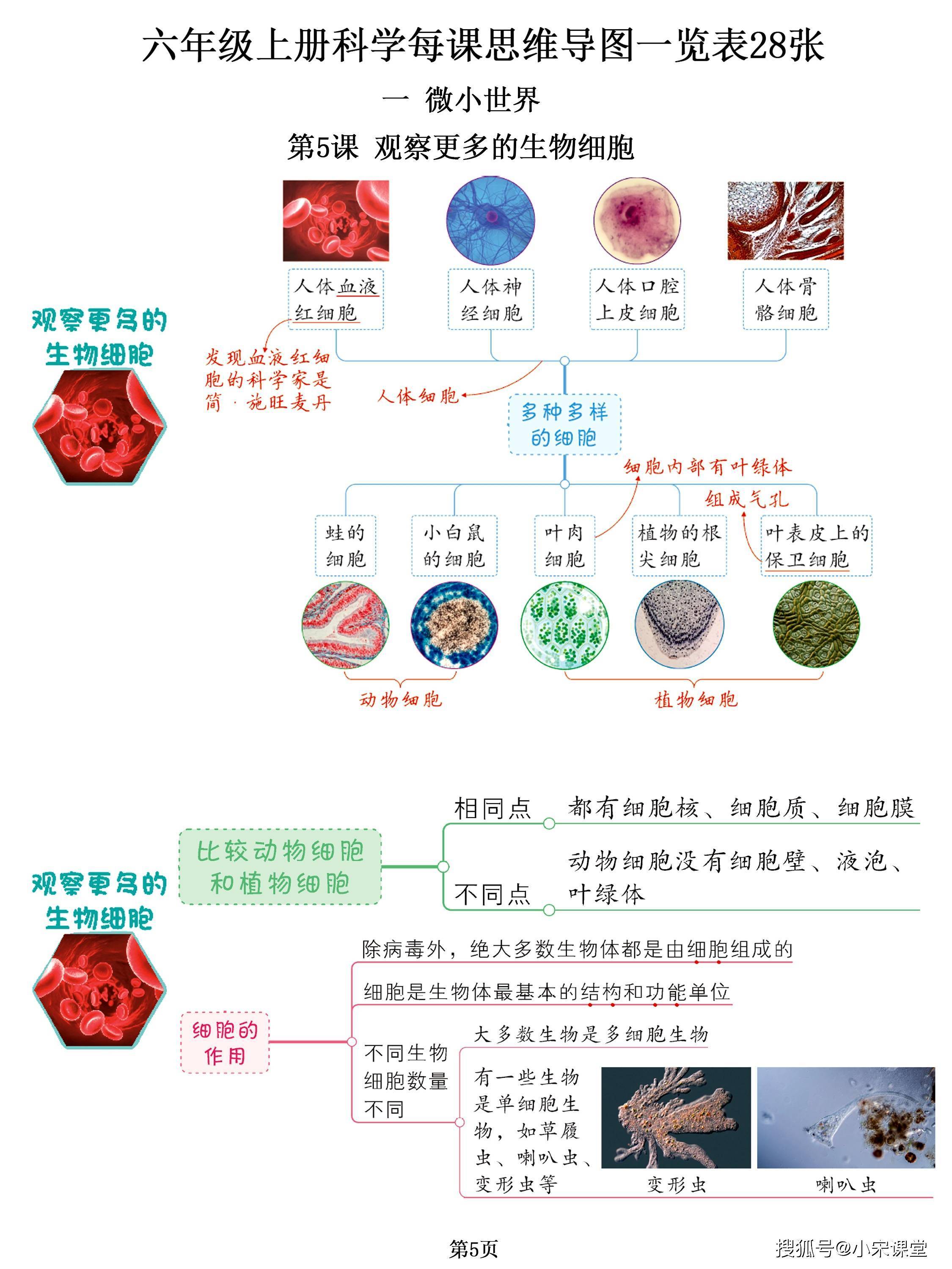 初一生物校本9, image size:2250x3000