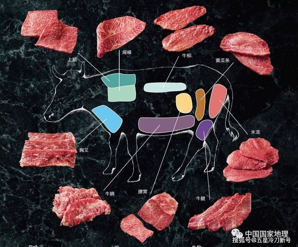 涮和炖(其中也包括酱制)中国人对牛各部位的命名,大都与牛的身体部位