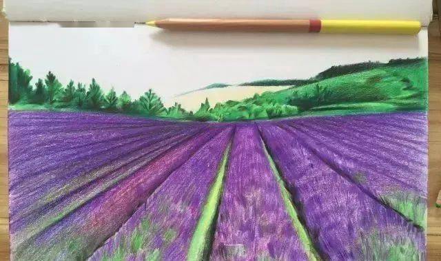 彩铅风景教程:普罗旺斯的花海_薰衣草_草绿色_紫色