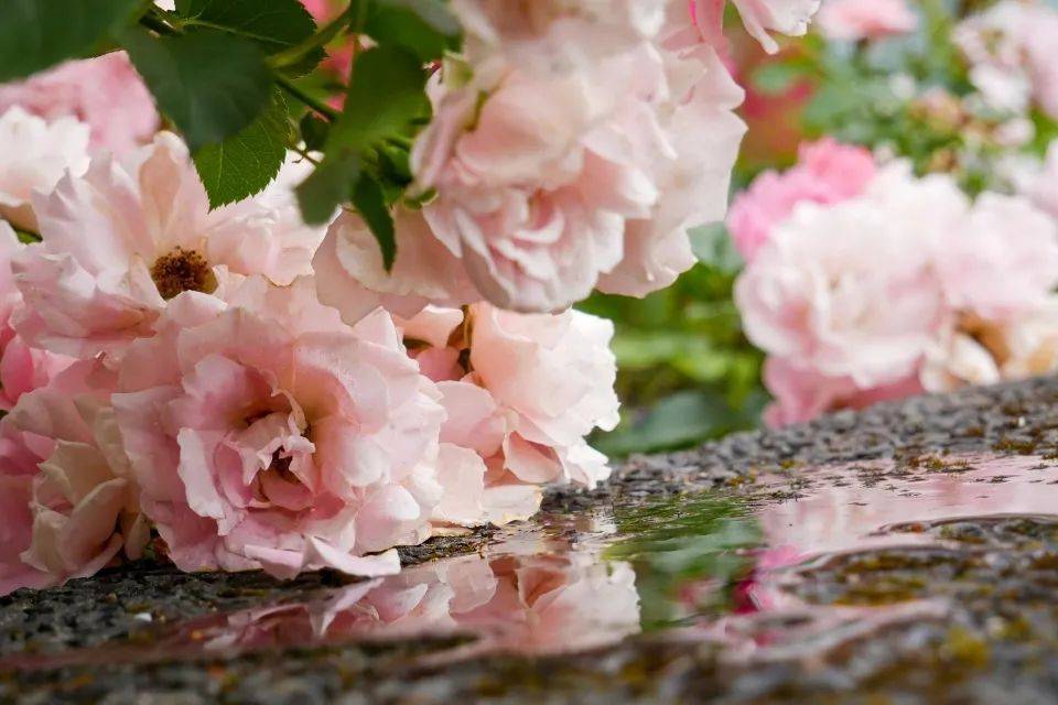 中国家电产量占全球比重超五成，智能家电将成下一轮发展引擎-家电圈官网