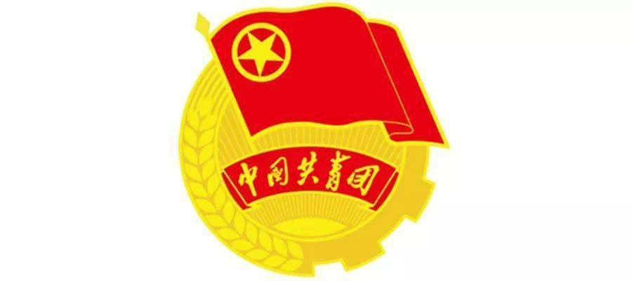 奋斗的青春最美丽 省第十四次团代会代表 宋明雨_青年_原文_团组织