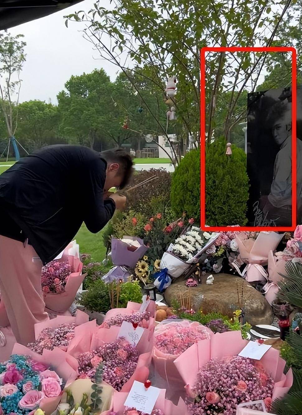 乔任梁去世六周年,父母和陈乔恩前往墓地祭奠,粉色鲜花漫山遍野