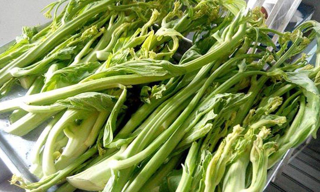 冲菜_芥菜_做法