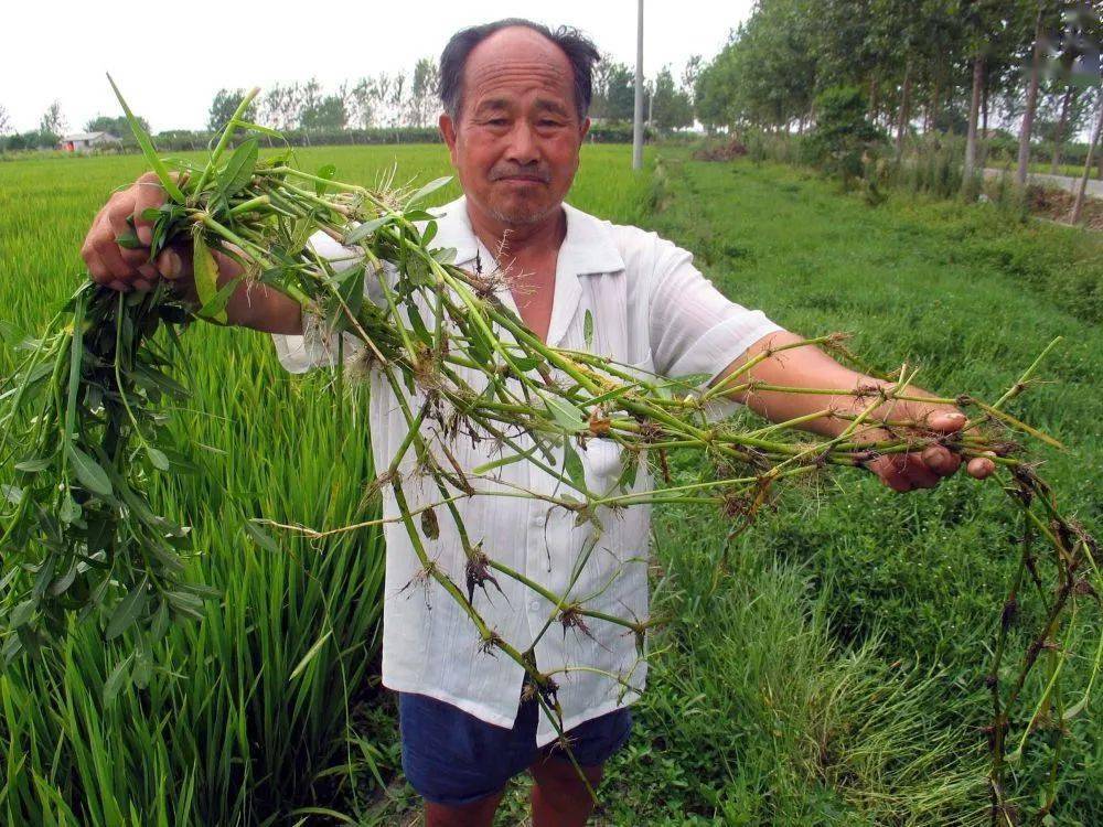 世上有十种放生_能放生的东西都有什么_世间不能放生的生物有