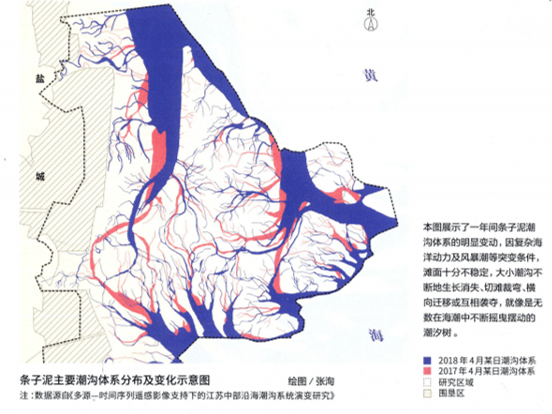 “神奇的潮汐树”背后蕴含了哪些地理原理?_作用_潮水_奇特