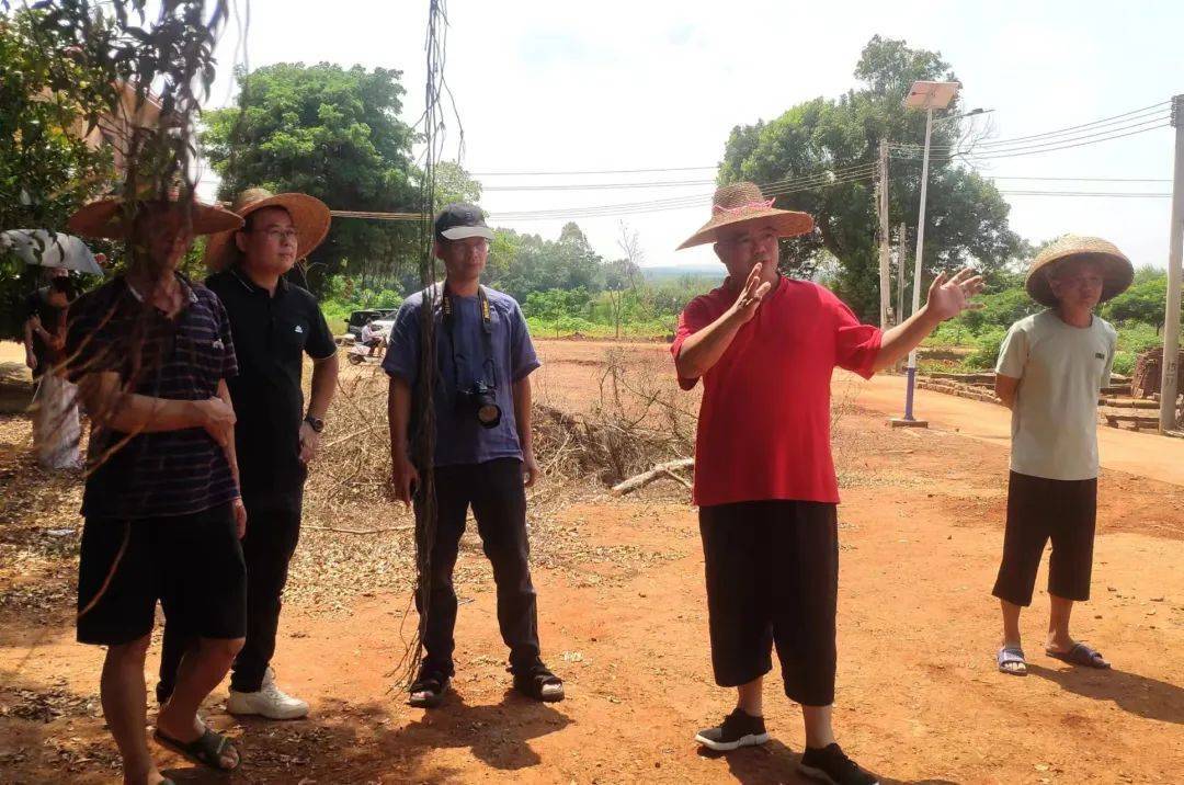 漫画助力乡村振兴——陈宇先生赴雷州市龙门镇扶茂村推进建设"云里的