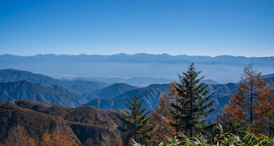 家用中央空调市场引爆口再次锁定电商-家电圈官网