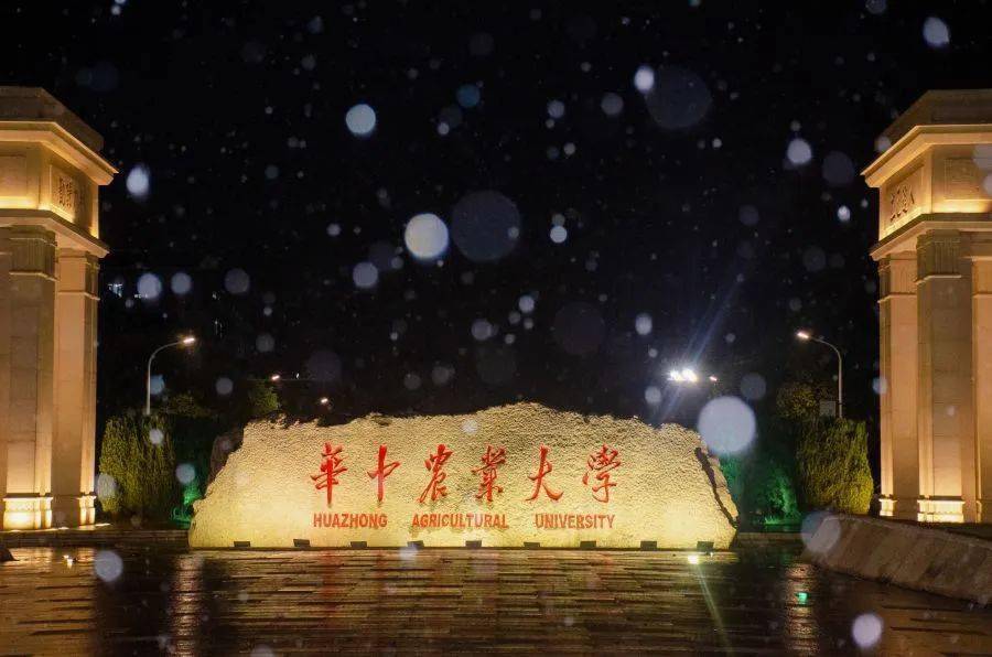 非985高校全国排名第一学科_中国矿业大学矿业工程安全科学与工程_河海大学专业排名