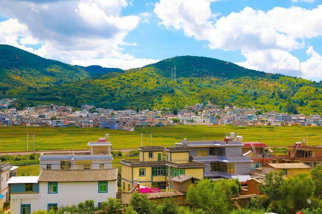 【非凡十年】沙龙镇谢官营:抓实基层治理,保障群众安全_纠纷_夏美招