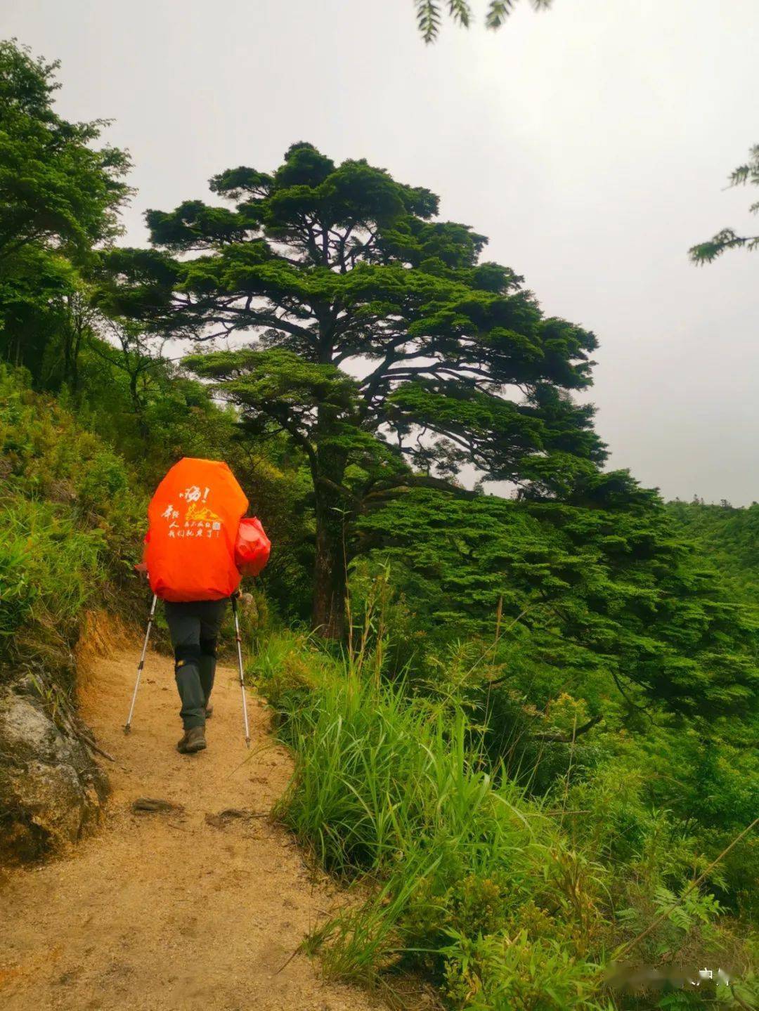 酃峰五彩谷在全国来说都是十分有名的每年都会有很多游客来酃峰村