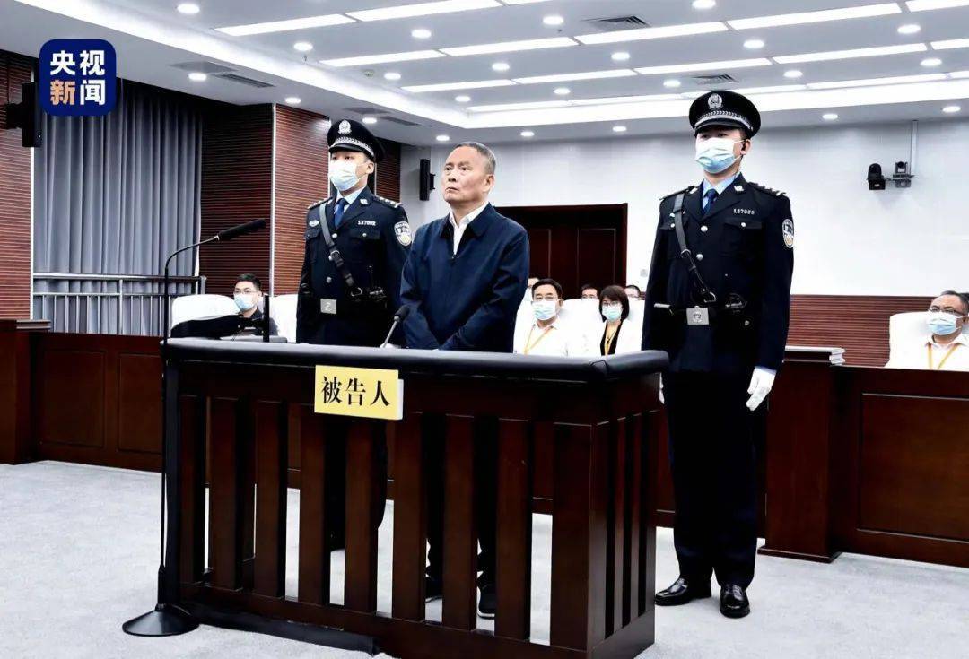 两名“孙力军政治团伙”成员同日被宣判！邓恢林获刑15年，龚道安被判无期