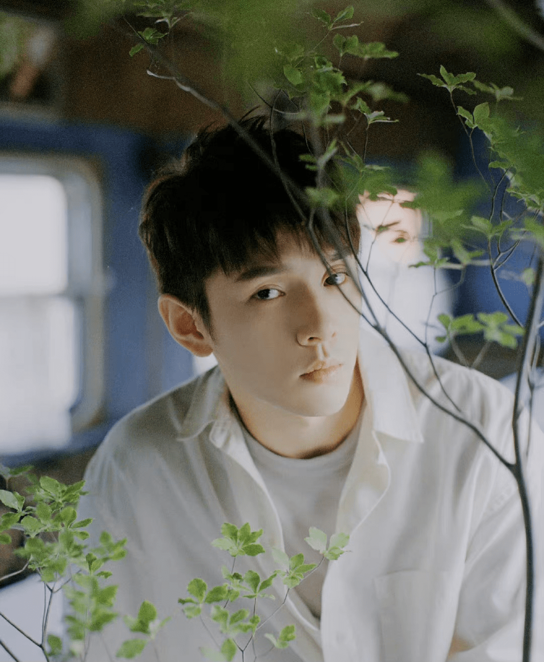 一问一答 | 出事男童星,李佳琦,杨幂,任嘉伦成毅,杨紫,张翰_团队_新剧