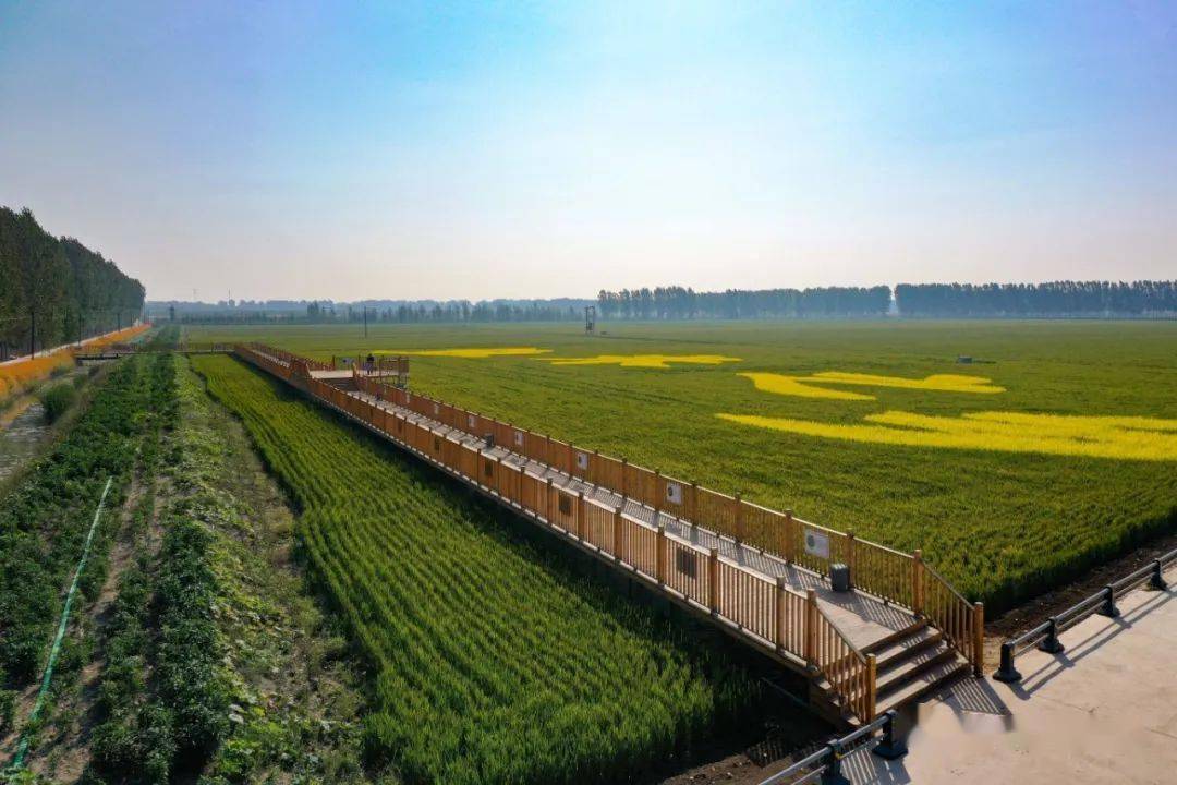 三台镇东边还有这么好的一个"网红"打卡地!_严经纬_夏子悠_月月